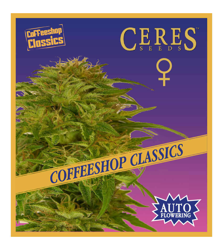 Super Automatic Kush - Auto-Flowering Cannabis Seeds - Ceres Seeds Amsterdam