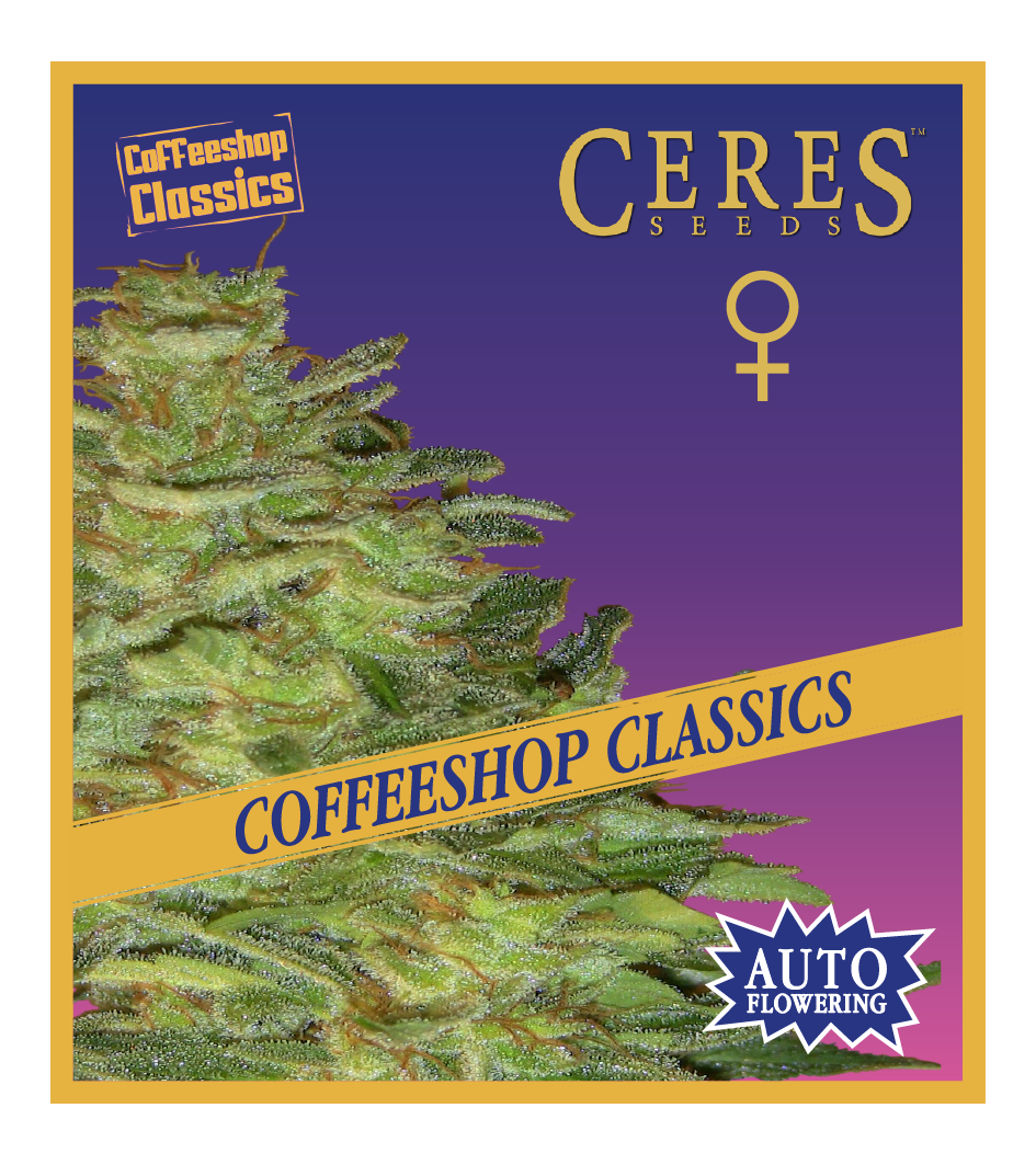 Super Automatic Skunk - Auto-Flowering Cannabis Seeds - Ceres Seeds Amsterdam