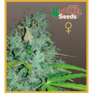 MCM - Auto-Flowering Cannabis Seeds - John Sinclair Seeds