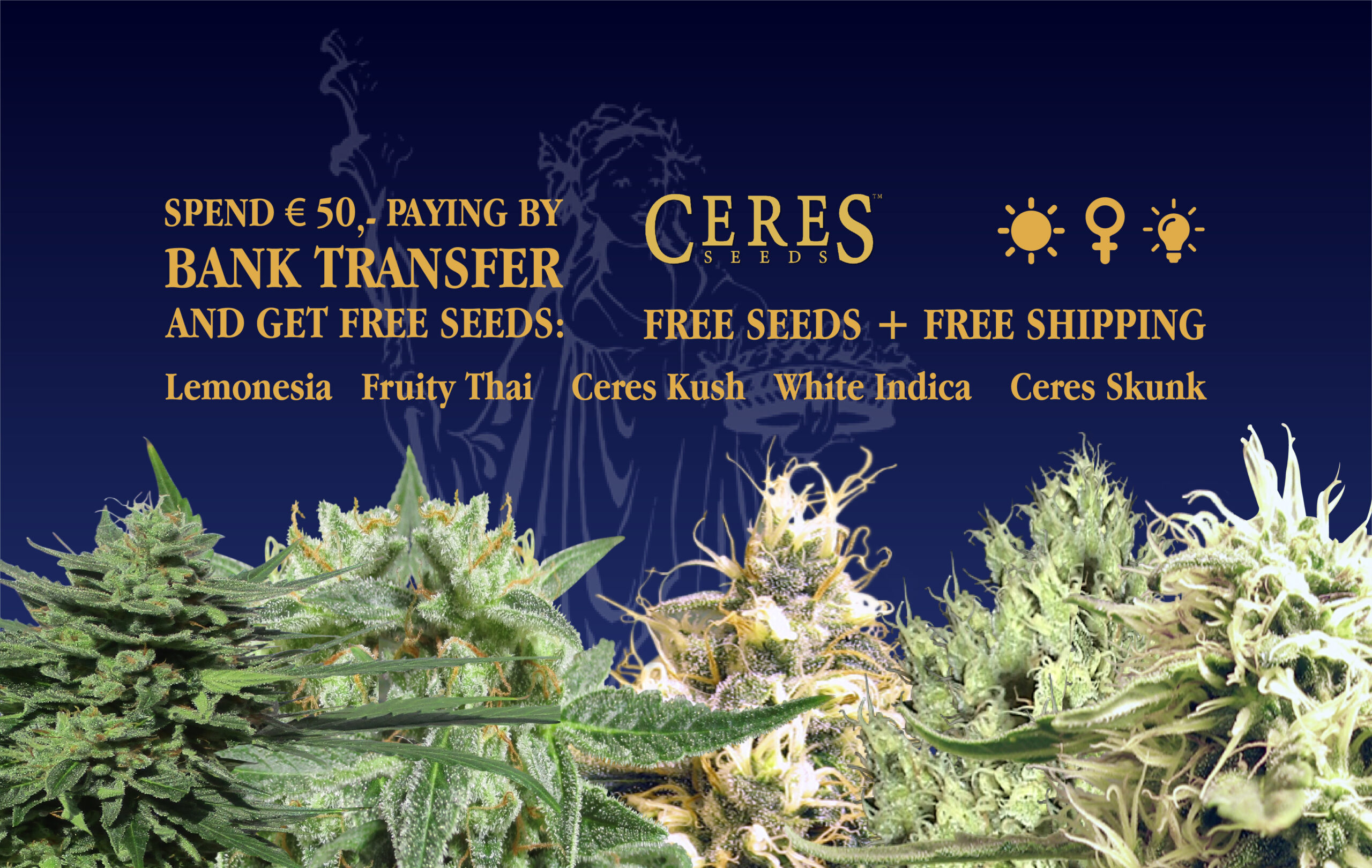 Ceres Seeds Amsterdam - Free seeds and shipping by spending 50 euro!