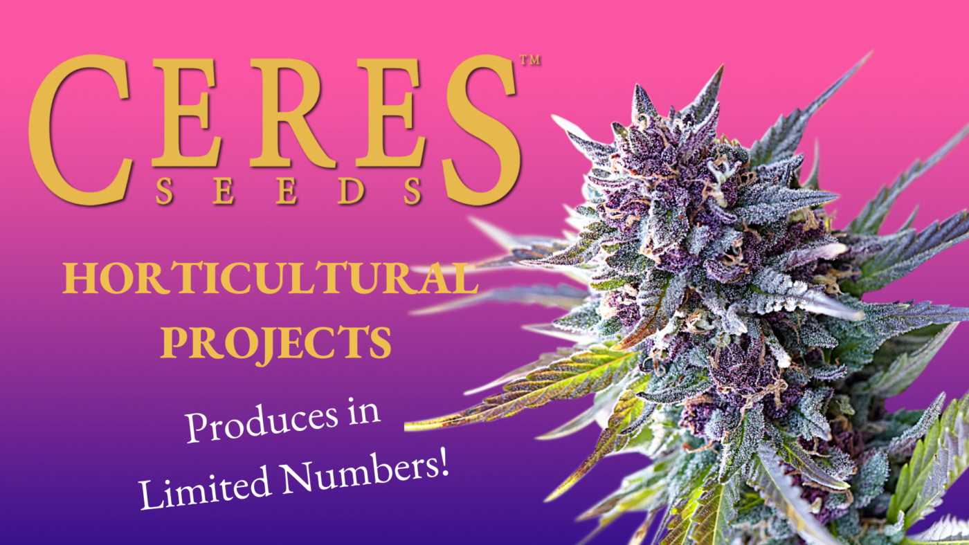 Ceres Seeds